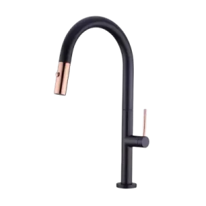 Torneira misturadora flexível de cozinha T08MF-BG